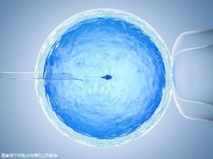 蘇懷安